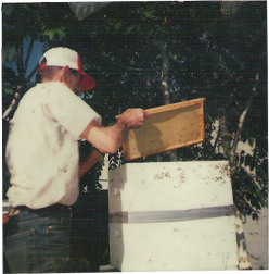 grandfather surratt working bees in his yard